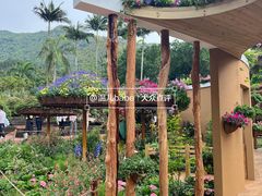 -深圳仙湖植物园