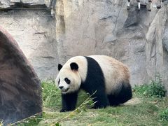 -上海野生动物园