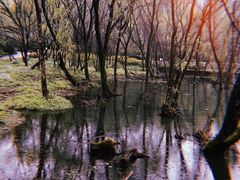 -西湖风景区-江洋畈生态公园