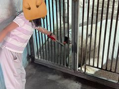 -泉城欧乐堡海洋极地世界
