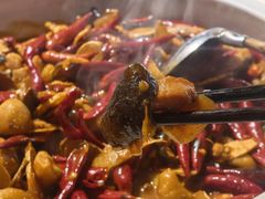 姜辣娃娃渔-印象鲵宴·张家界地标美食名片(溪布街店)