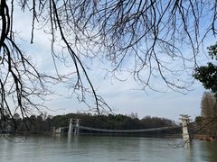 -东湖落雁景区