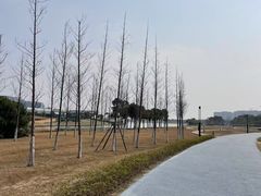 -春花秋色城市公园