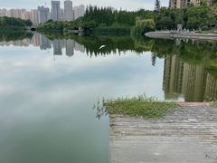 -成都南湖公园