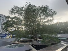 -阿伟海鲜楼·福建菜(涵江店)
