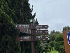 -昆明植物园
