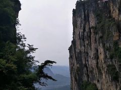 -蝶舞清江·恩施云顶景区(黄鹤峰林)