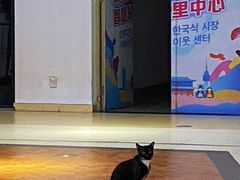 -金轮星光名座生活广场