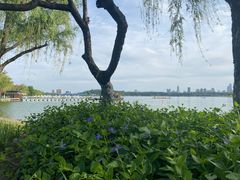 -玄武湖景区-情侣园游乐场