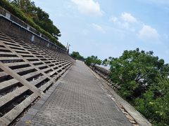 -上海滨江森林公园