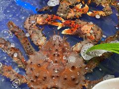 -79号渔船海鲜饭店(华强北店)