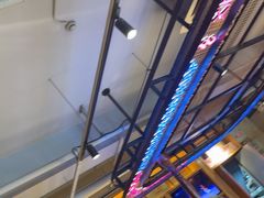 -小河公主秘制烤羊腿(小绿谷店)