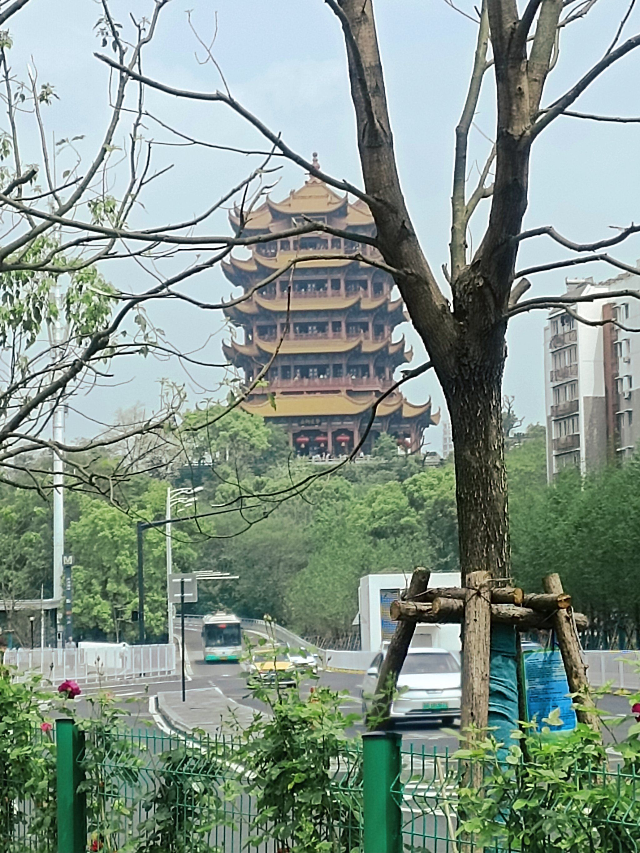 黄鹤楼后面居然有朵大花!