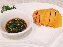 -梅龙镇酒家(南京西路总店)