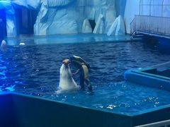 -福州罗源湾海洋世界旅游区