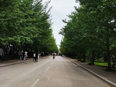 -金城公园