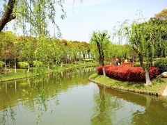 -上海鲜花港