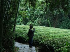 -敬亭山风景名胜区