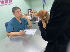 -哆趣宠物医院·眼科·内镜·急重症转诊中心(上海店)