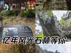 -梭布垭石林景区