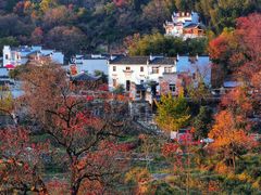-塔川景区