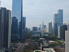 -深圳湾科技园丽雅查尔顿酒店