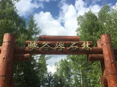 -峡谷浮石林景区