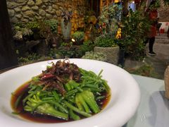 菌香水性杨花-尽善百年古院餐厅(王家老宅店)