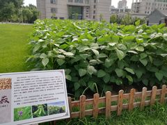 -东北农业大学