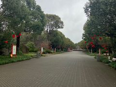 -上海海湾国家森林公园