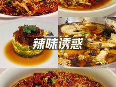 -沸腾鱼乡(知春路分店)
