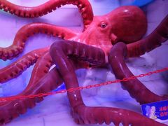 -梦幻奥陶纪景区