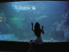 -左海海底世界