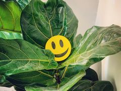 -About Bistro關於·泰式家庭料理