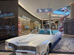 -DFS迪斐世(澳门新濠天地店)