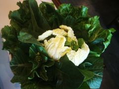 -百年果林椰子鸡(中洲店)