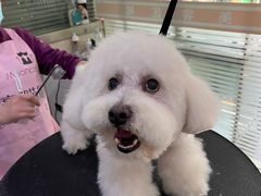 -暖阳宠物医院·犬猫康复中心·骨科
