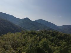 -宁波浙东大竹海景区