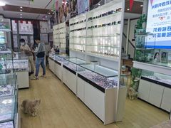 -鑫亮视光·蔡司品牌折扣店·配镜(哈工大科学园店)