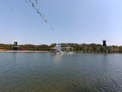 -上海鲜花港