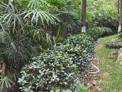 -大妙火锅·非物质文化遗产(东湖公园店)