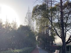 -上海长兴岛郊野公园