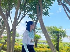-碧海金沙