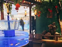 -佬麻雀·剁椒鱼头(京基KK One店)