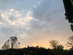 -奈雪的茶(南山大冲一期店)