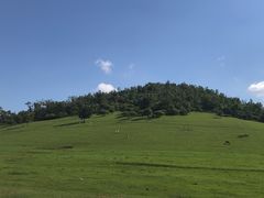 -关山草原