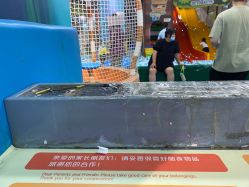 -宝贝王(天津滨海店)