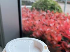 -星巴克(丁香国际商业中心店)
