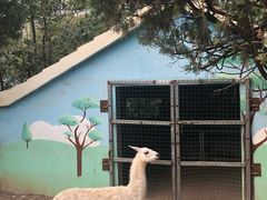 -五龙山野生动物王国
