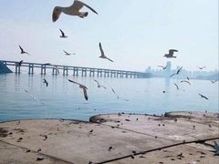 -星海湾跨海大桥